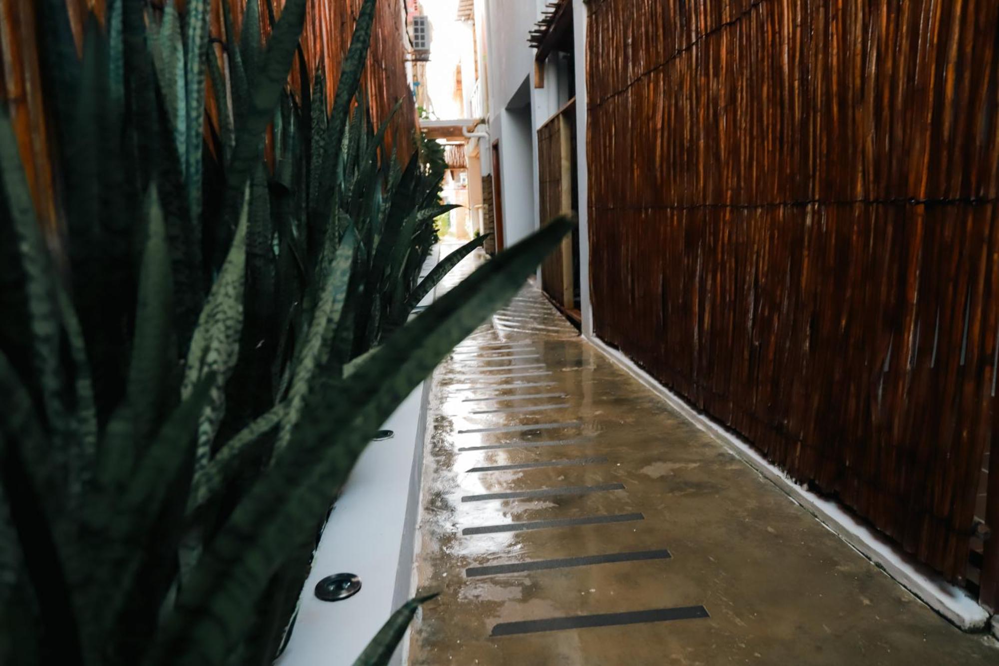 Hostal Casa En La Cienaga Rincon Del Mar Exteriör bild